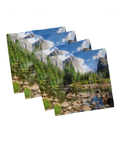 Yosemite Set of 4 Napkins  12