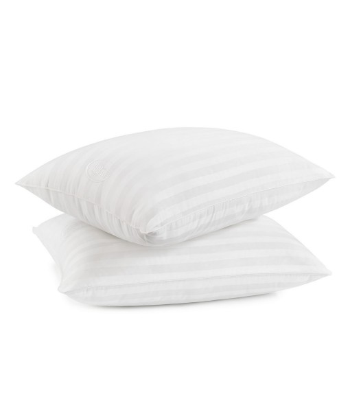 Won't Go Flat 2-Pack Pillows  Standard/Queen